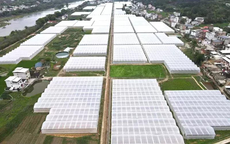 शेनयाङमा हाम्रो फिल्म ग्रीनहाउस साइट हिउँ परेको छ